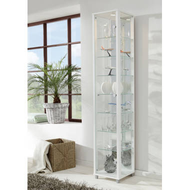 Modern curio cabinet with shop light